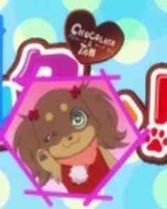Chokotan!