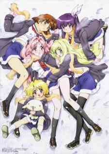 Girls Bravo (Dub)