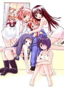 Mahou Sensei Negima Introduction Film